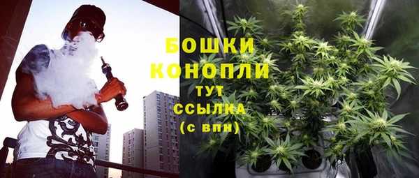 Альфа ПВП Кулебаки