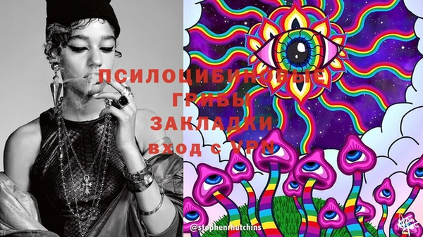 Альфа ПВП Кукмор